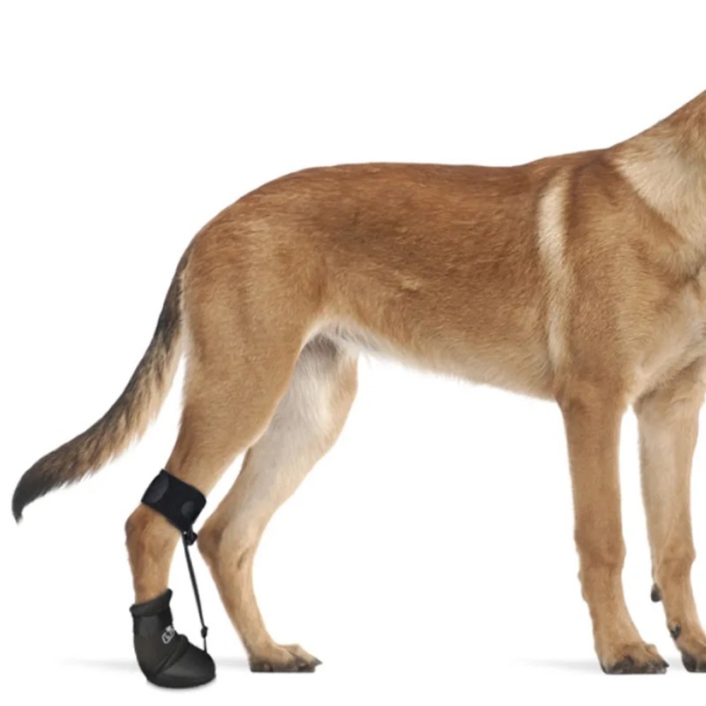 LISPOO Dog Paw Protection Boot Medium